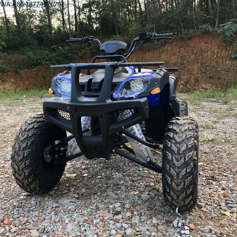 Electric 4 Seater 4WD 4-Stroke - đánh giá và giá Camping Quad