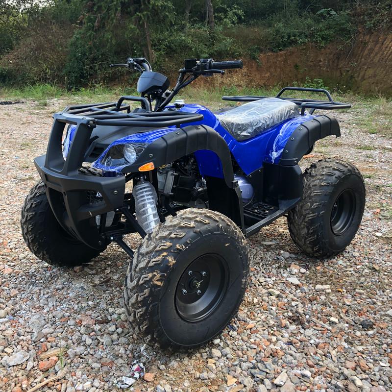Electric 4 Seater 4WD 4-Stroke - đánh giá và giá Camping Quad