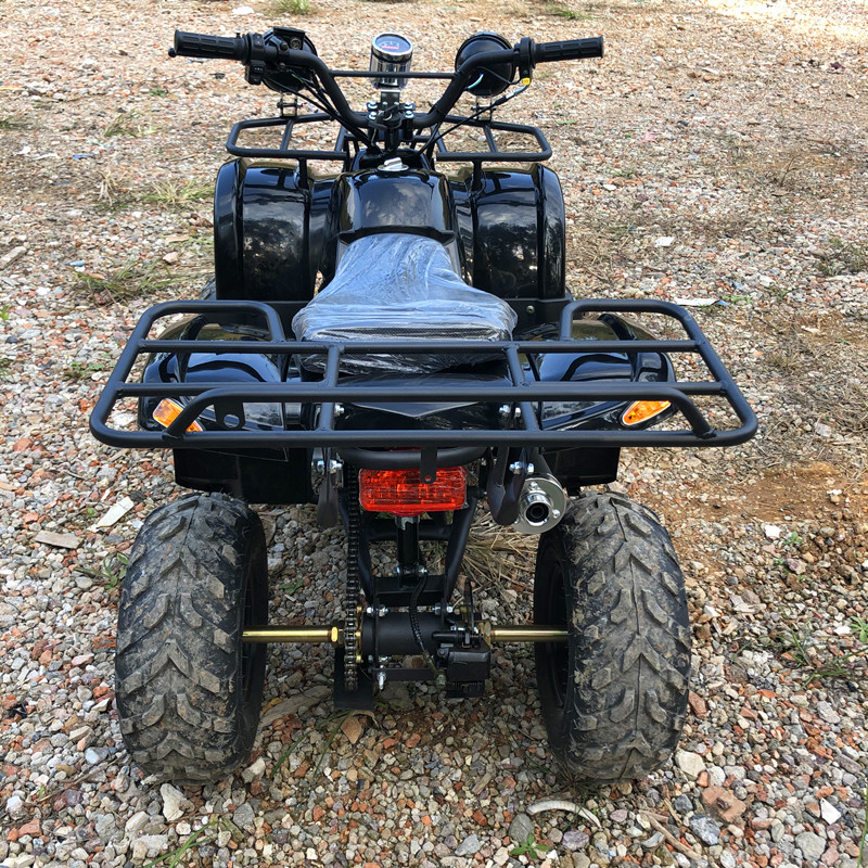 Electric 4 Seater 4WD 4-Stroke - đánh giá và giá Camping Quad