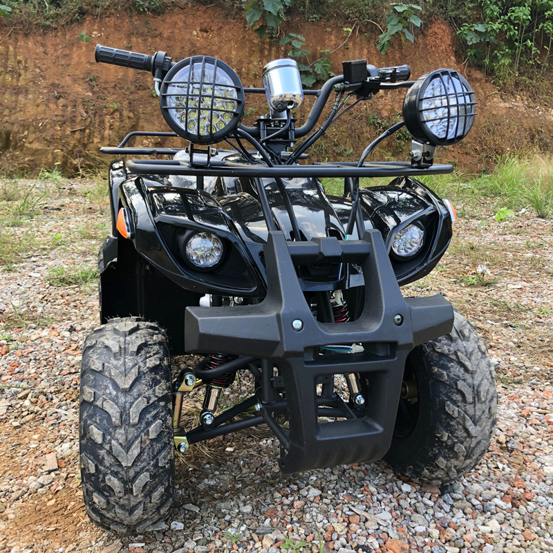 Electric 4 Seater 4WD 4-Stroke - đánh giá và giá Camping Quad